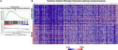 CXC Chemokine/Receptor Axis Profile and Metastasis in Prostate Cancer